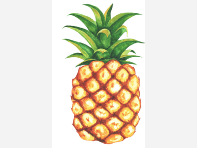 Franklin Newcomers and Friends April Monthly Meeting, April 20th, 7:30pm at  3 