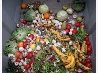 Pantry Fights Food Waste