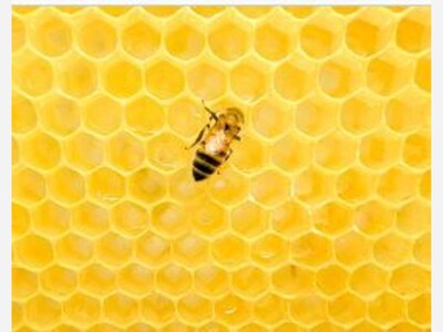 Bee Generous: Norfolk Inmates Donate to Food Pantry