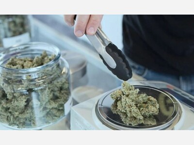 Petition Could Lead to Marijuana Rollback