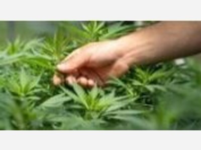 People, Power, and Politics