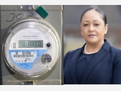 Twin Bills Would Blunt Smart Meter Mandates