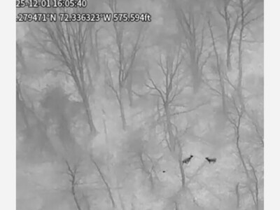 People, Power, and Politics