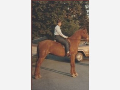 MEDWAY: Mariann Robertson