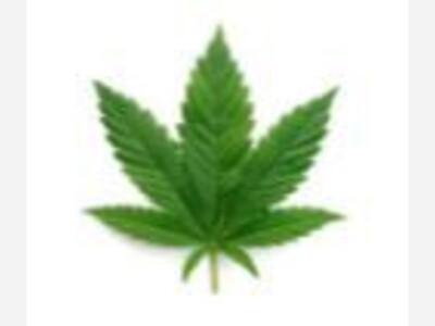 State Readies Pot Cafe Regs