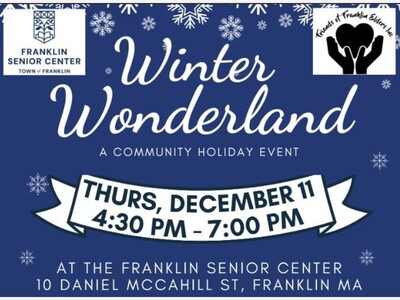 Miss Not Franklin's Winter Wonderland!