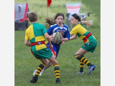 Barbarians at the Gates!