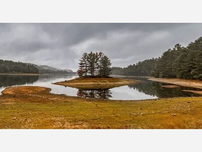 People, Power, and Politics