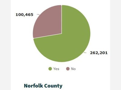 Despite Voter Q1 Support, DiZoglio Forced to go to MA SJC