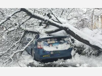 AAA Offers Post Storm Damage Tips