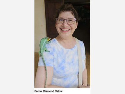 Franklin Art Assn. to Feature Rachel Diamond Calow