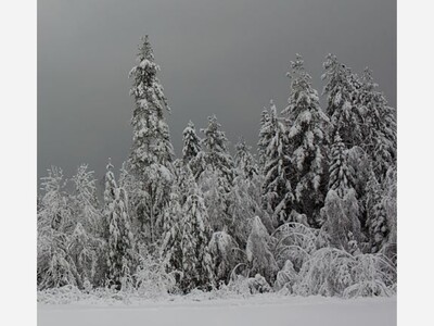 The 4 lessons New England’s grid can learn from January's cold