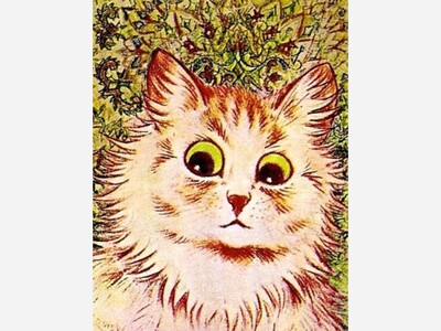 PERSPECTIVES: Are you sick of crazy?