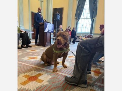 People, Power and Politics