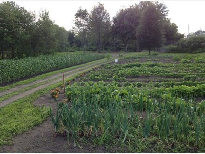 Goodbye to All That: 6+ Acre Farm Parcel for Sale in Franklin