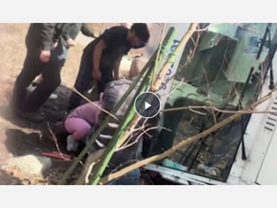 Medway Crash Seriously Injures Postal Worker