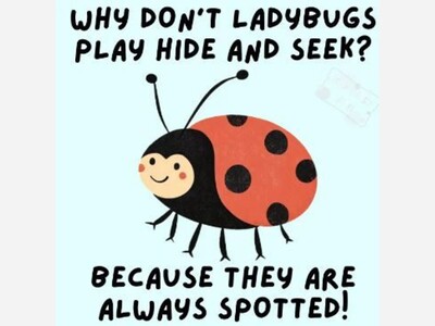 Lady Bug Trail Walk + Tons of Deals on Saturday!