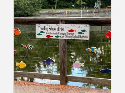 A Fin-Tastic update for the Franklin Sculpture Park