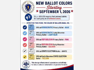 Voting for a Change...of Color