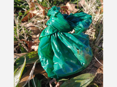Medway DPW Begs Residents to Stop Leaving Dog Waste in Cemeteries