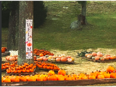 St. John''s Pumpkin Patch Kicks Off on Saturday in Franklin!