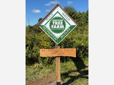 Franklin Conservation Agent Celebrates Tree Farm on Town Land