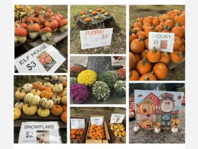 Pumpkin Patch Still Going Strong!