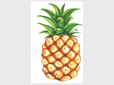 Franklin Friends and Newcomers May Meeting