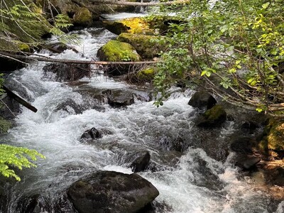 Program on Working with Nature to Reset the Nervous System