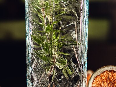 Franklin Garden Club Program on Bitters- The Missing Ingredient 