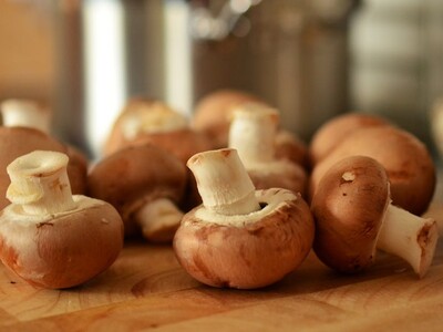 Franklin Garden Club Meeting