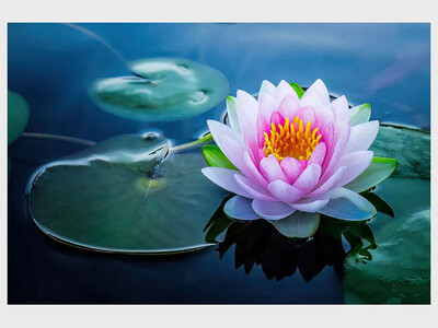 Special Summer Service - The UU Value of Transformation