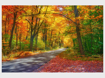 Special Sunday Service: Re-grounding Ourselves 